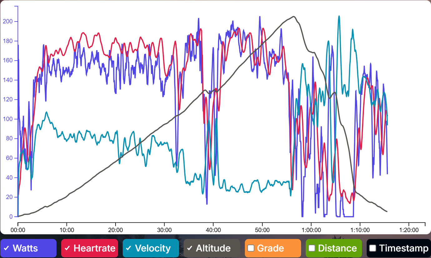 5 Training Mistakes Your Data Will Catch Before You Do