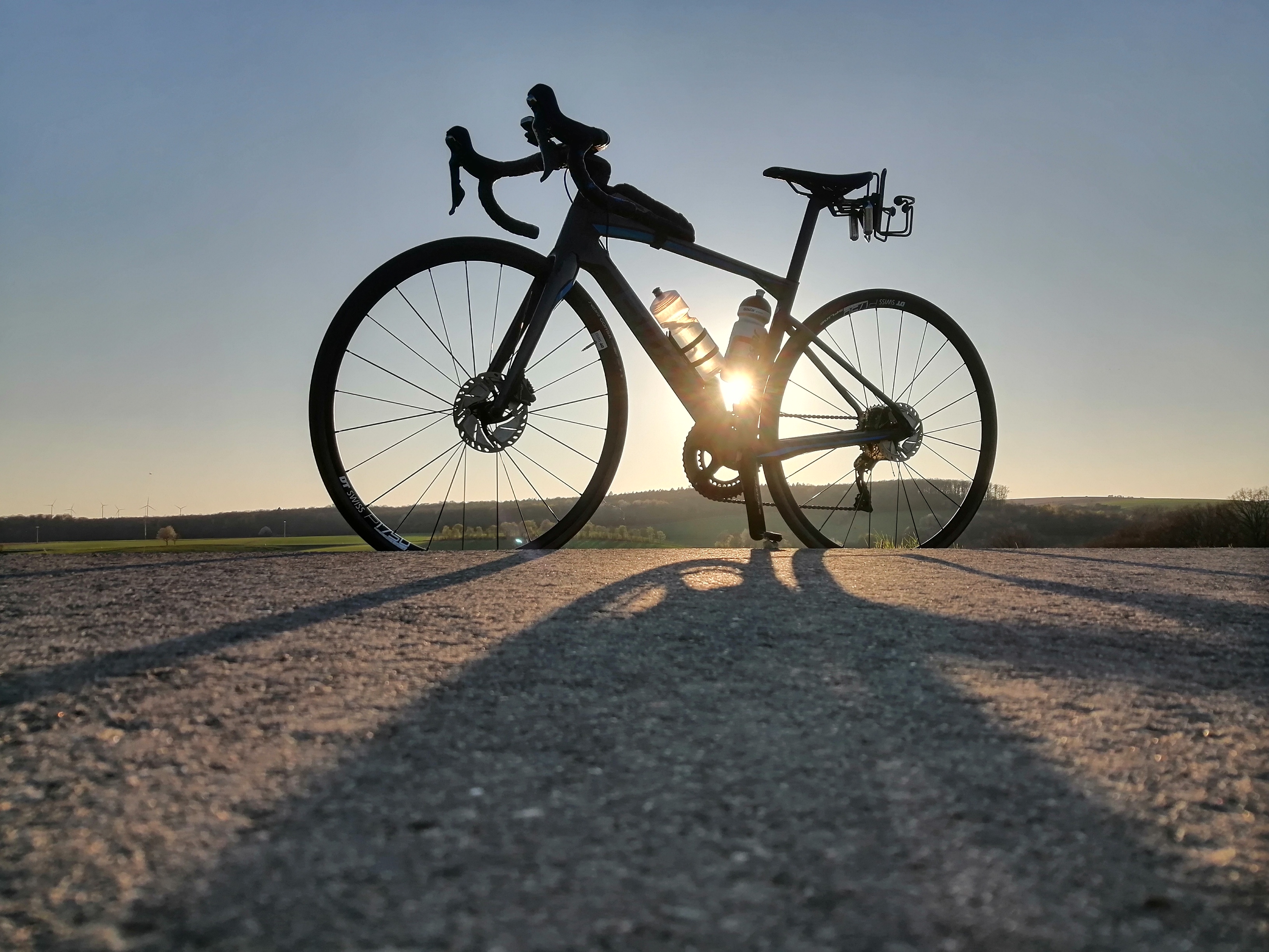 Energy provision: An Anatomical Guide to How Your Body Fuels Exercise